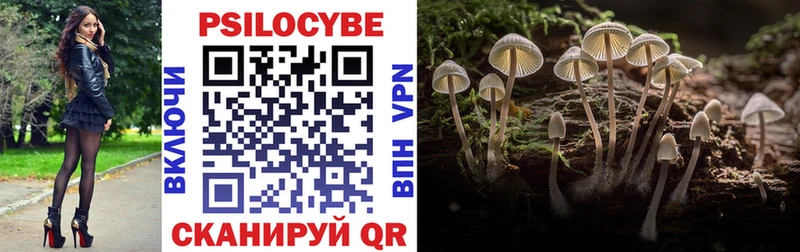 Купить где  Хвалынск  Галлюциногенные грибы Magic Shrooms 